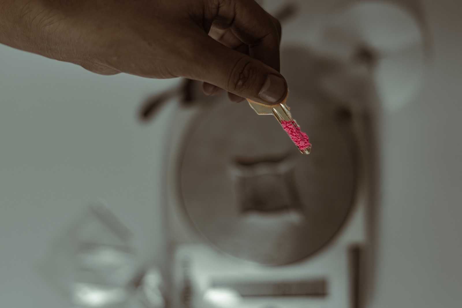 Viaje a un gramo de tusi Viaje a un gramo de tusi