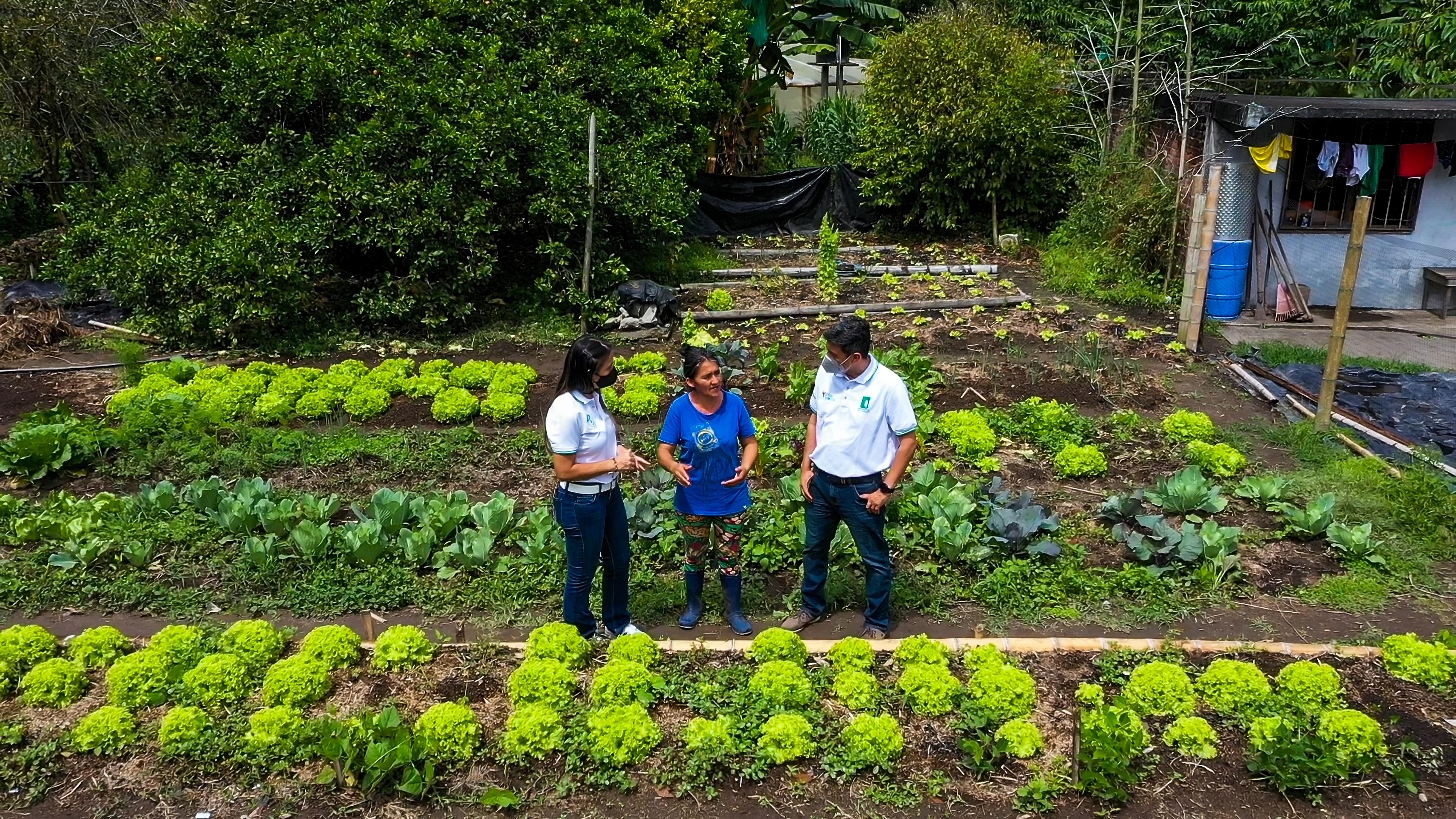 El aula de la UQ es el territorio