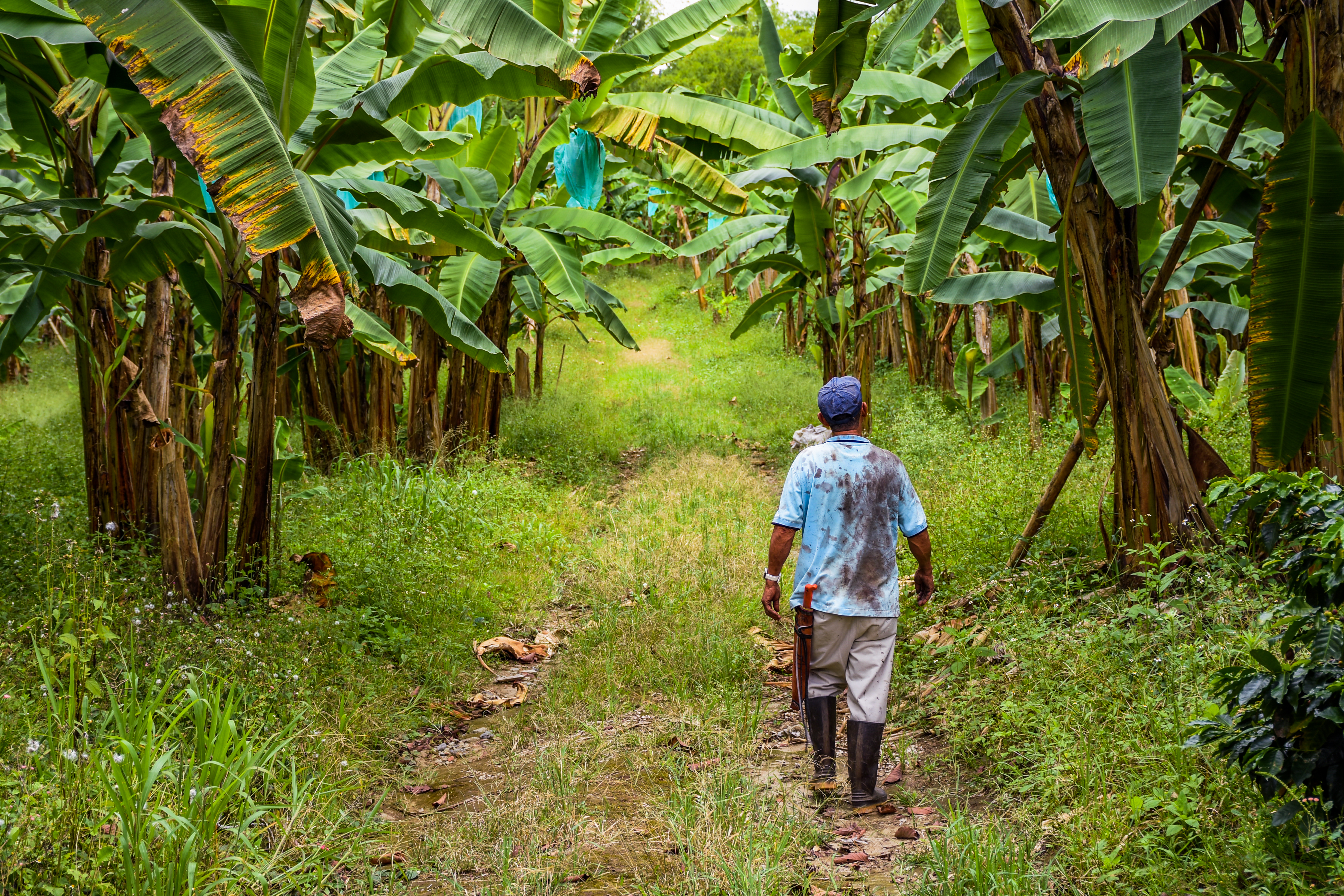 El aula de la UQ es el territorio